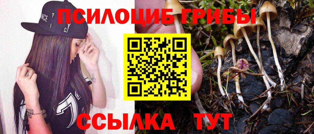 Галлюциногенные грибы Psilocybe  Вход с VPN  Гагарин 